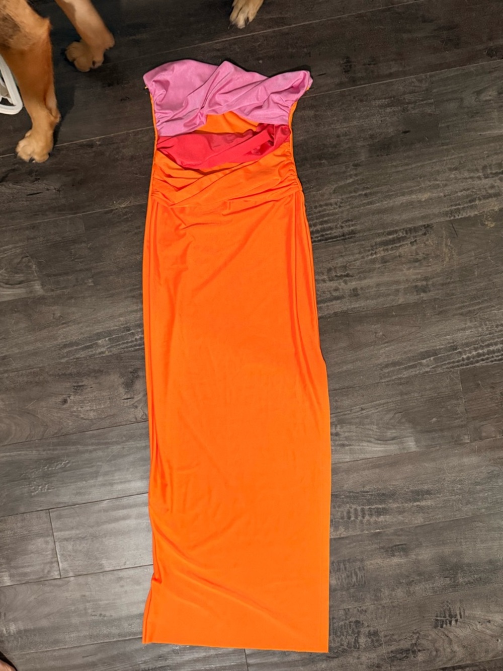 Women's Orange Seamless Intimate Top - S